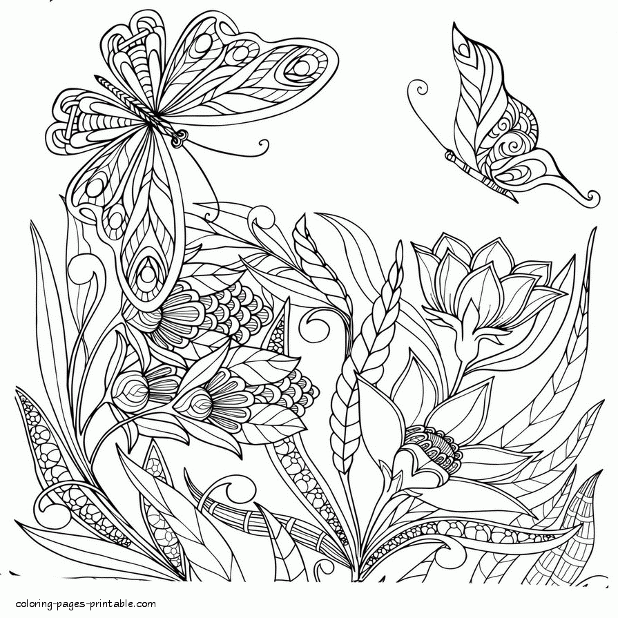 Butterfly Coloring Pages for Adults Butterfly Coloring Pages for Adults