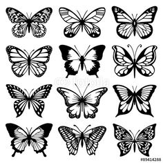 Butterfly Drawing Outline At PaintingValley Explore Collection Of Butterfly Drawing Outline At PaintingValley Explore Collection Of