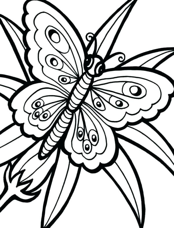 Butterfly and Flower Coloring Pages