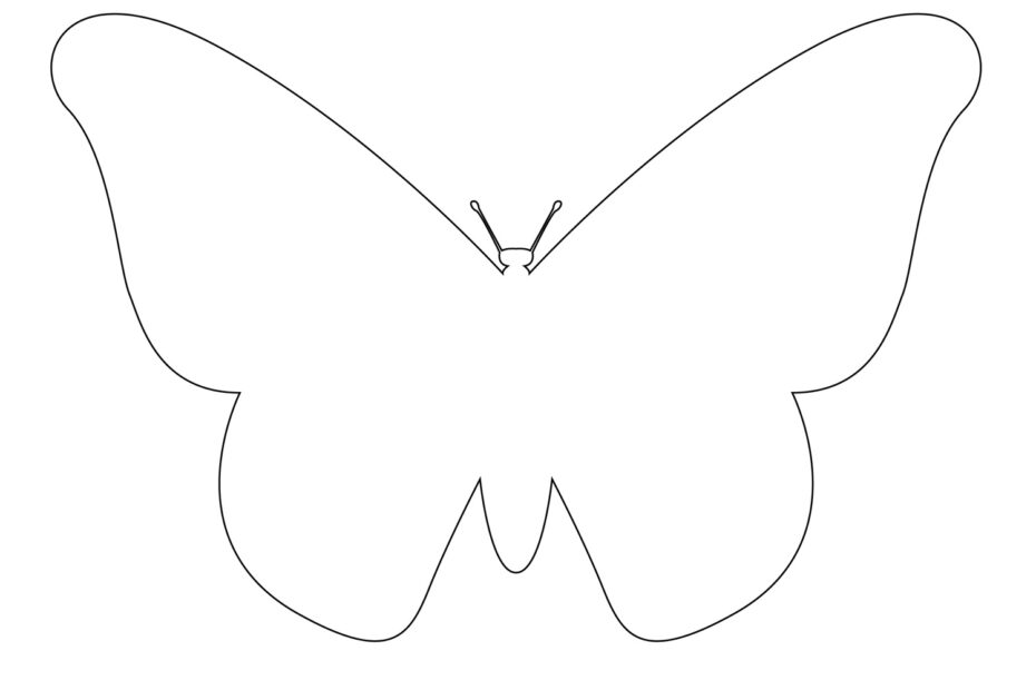 Butterfly Outline Template Cliparts co