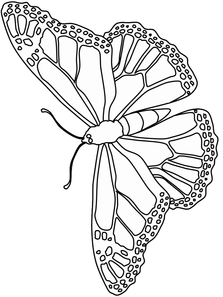 Butterfly Printable Coloring Page Coloring Book Butterfly Printable Coloring Page Coloring Book