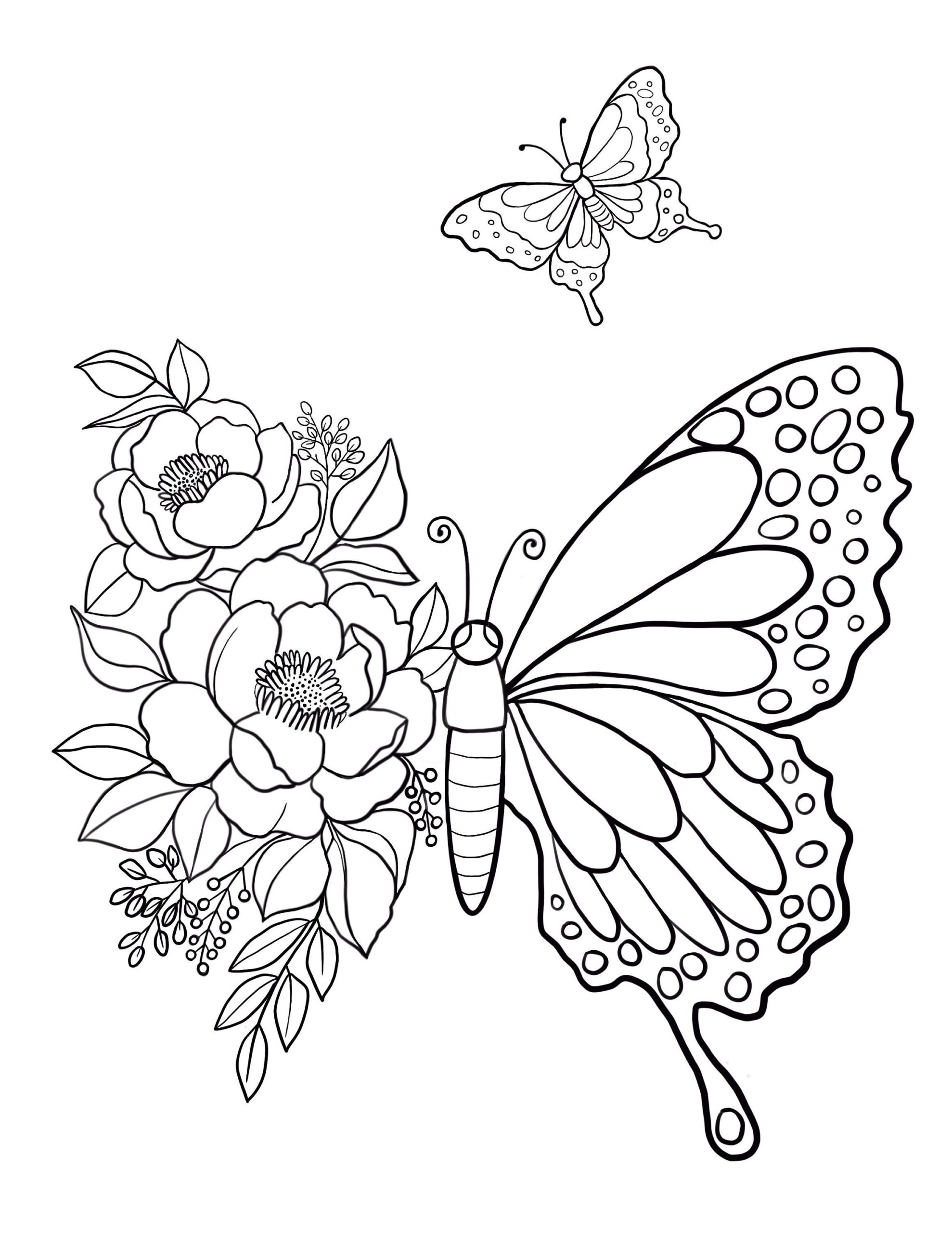 Butterfly Printable Coloring Sheet Coloring Pages Kid Vrogue co Butterfly Printable Coloring Sheet Coloring Pages Kid Vrogue co
