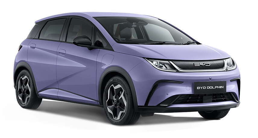 dolphin pictures to colour in dolphin pictures to colour in