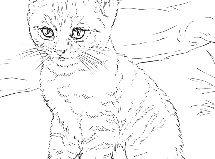 Cartoon Cat Coloring Pages Learny Kids