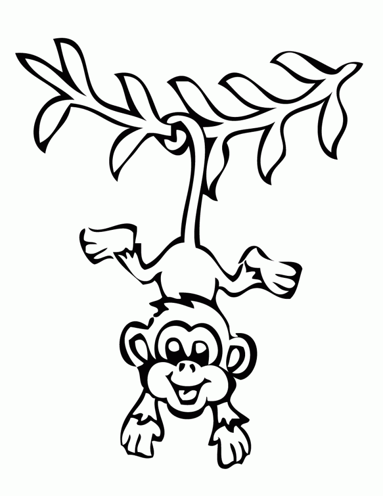 Cartoon Monkeys Coloring Pages ClipArt Best