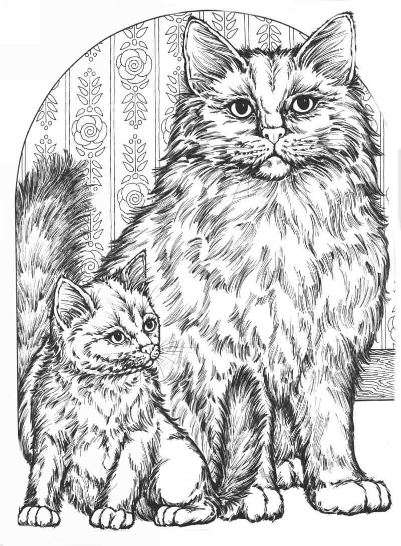 coloring sheets cat free