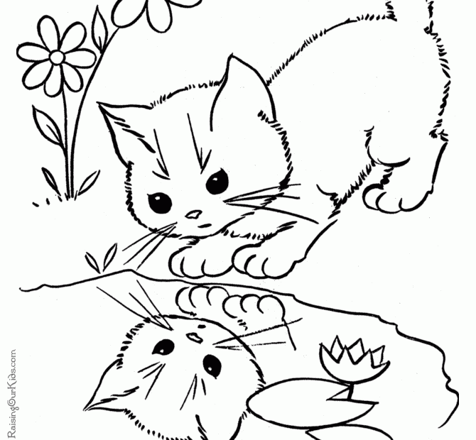 Cat Coloring Sheets