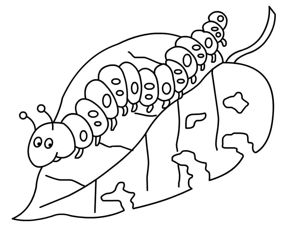 Caterpillar Coloring Page For Kids Printable Coloring Pages FREE