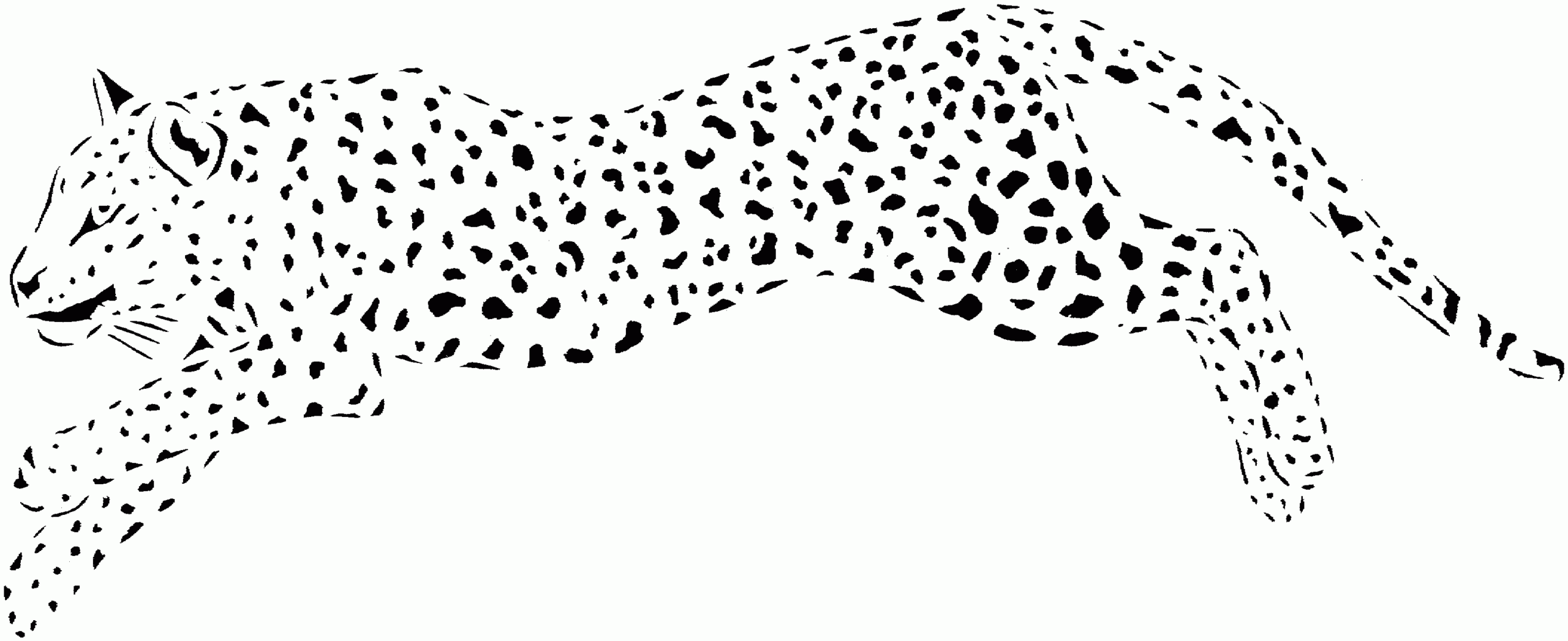 Cheetah Printable Coloring Pages Coloring Home Cheetah Printable Coloring Pages Coloring Home