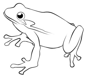 aesthetic frog coloring pages