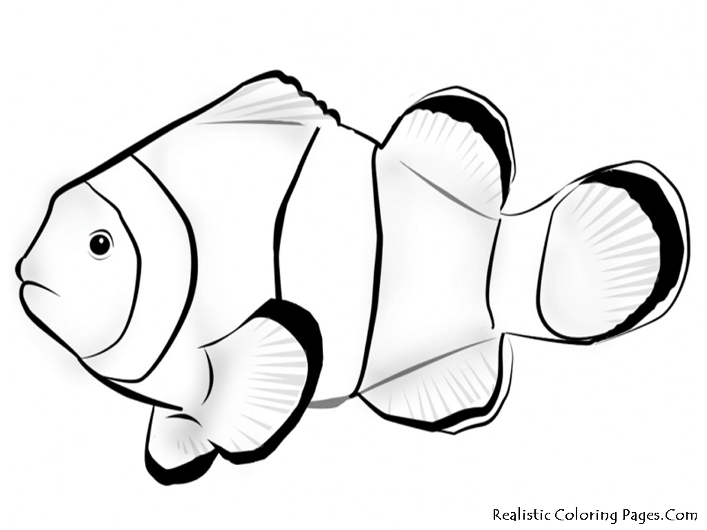 Clipart Panda Free Clipart Images