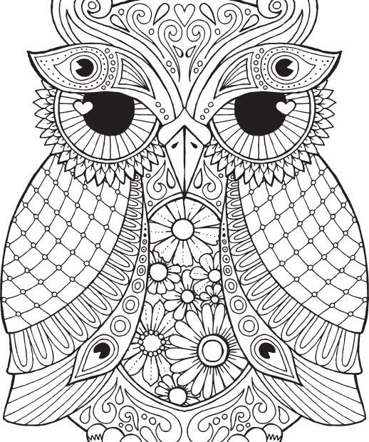 Collection Of Owl Coloring Pages For Adults Free Printable