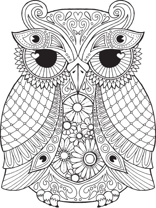 Collection Of Owl Coloring Pages For Adults Free Printable Collection Of Owl Coloring Pages For Adults Free Printable
