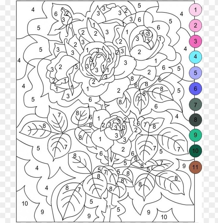 Color By Number Coloring Pages For Adults PNG Transparent With Clear 