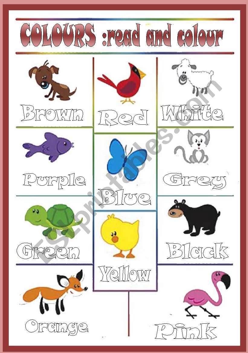 Colored Animals editable ESL Worksheet By Marinaru