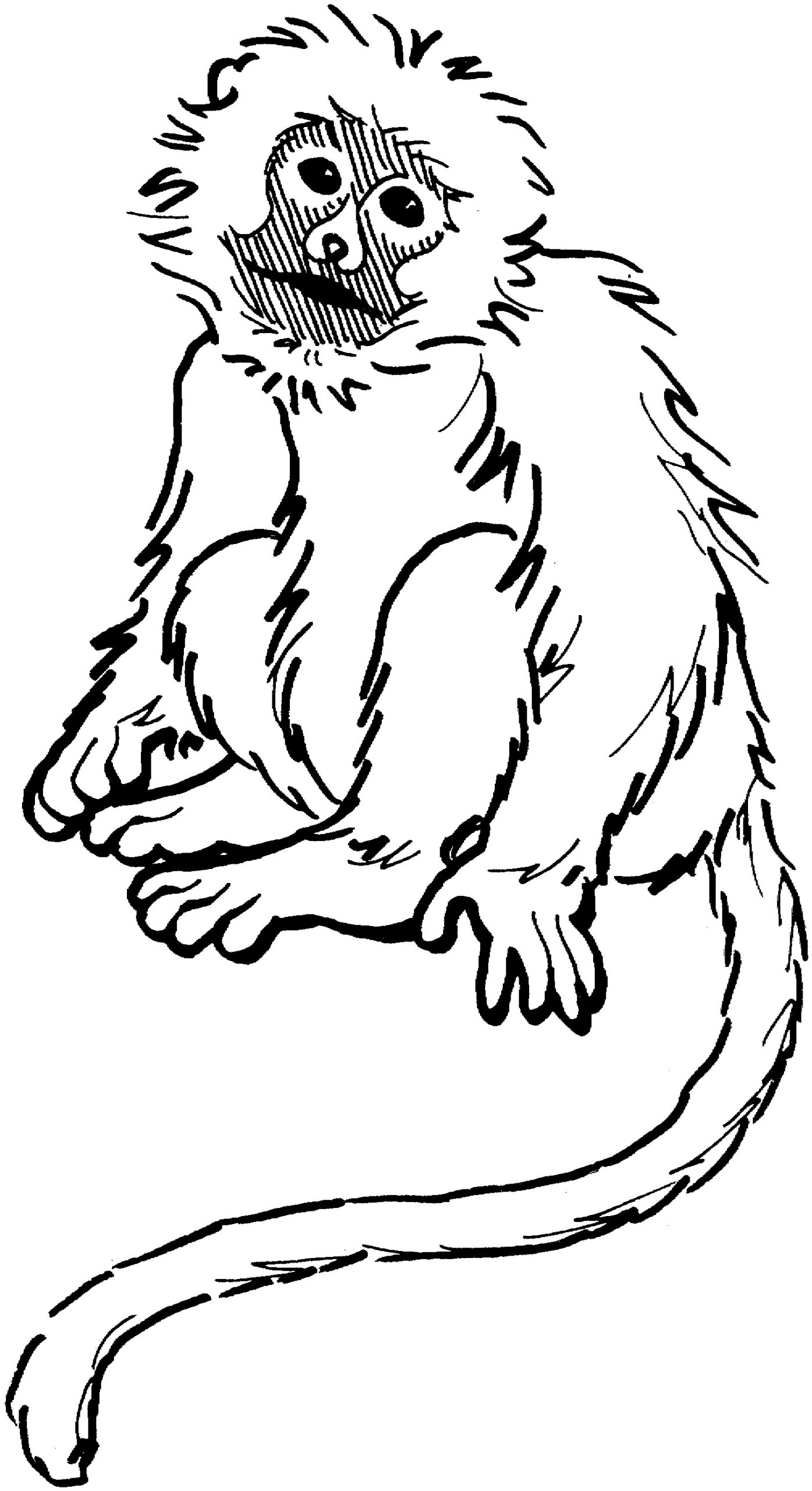 Coloring Monkey ClipArt Best