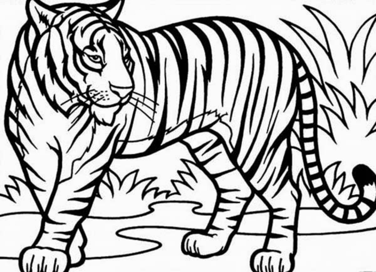 free tiger coloring page