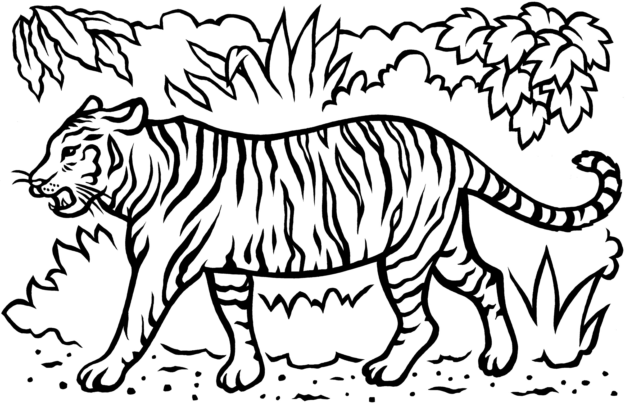 Coloring Page Tiger 13590 Animals Printable Coloring Vrogue co