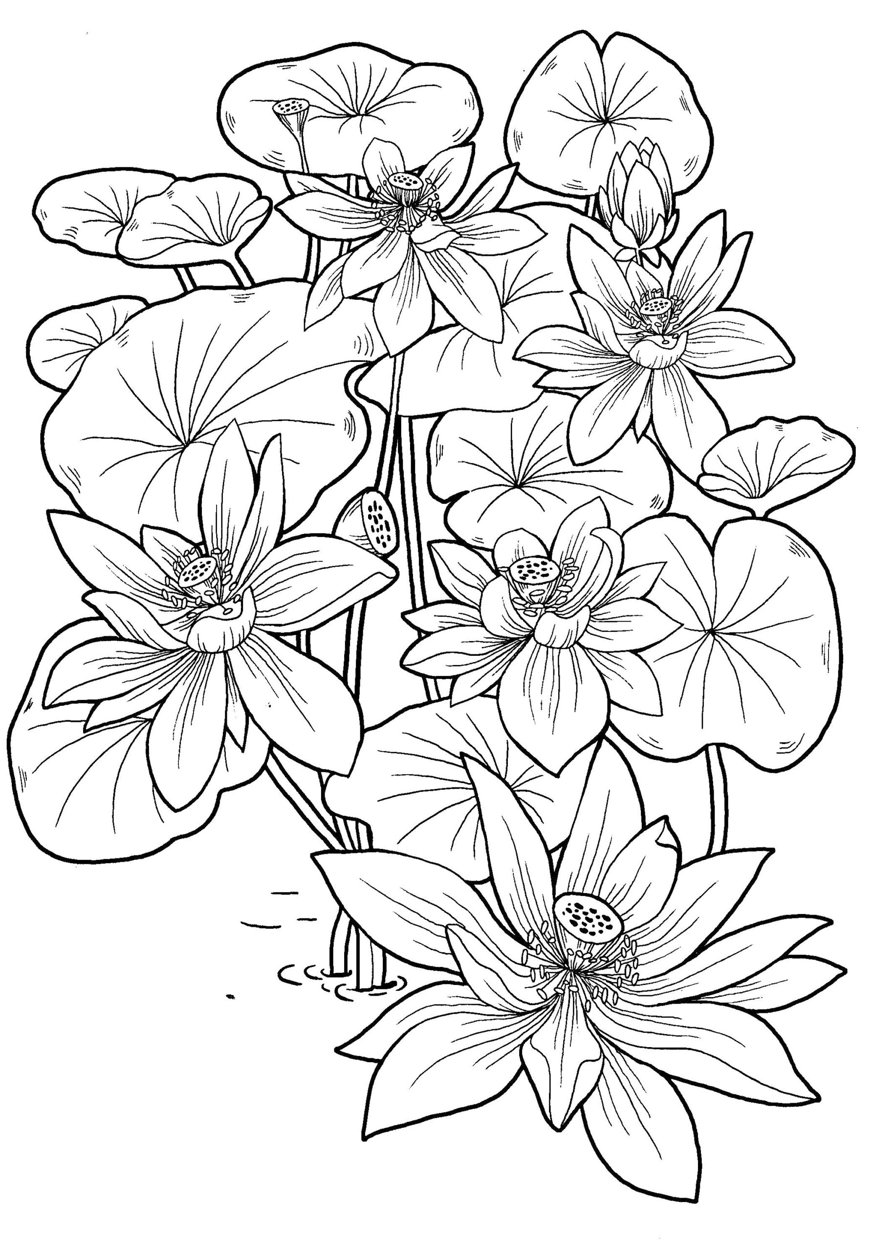 Coloring Pages For 14 Year Old Girls Coloring Pages For 14 Year Old Girls
