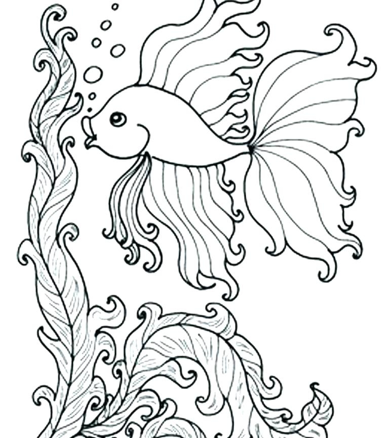 Coloring Pages For Adults Fish At GetDrawings Free Download Coloring Pages For Adults Fish At GetDrawings Free Download