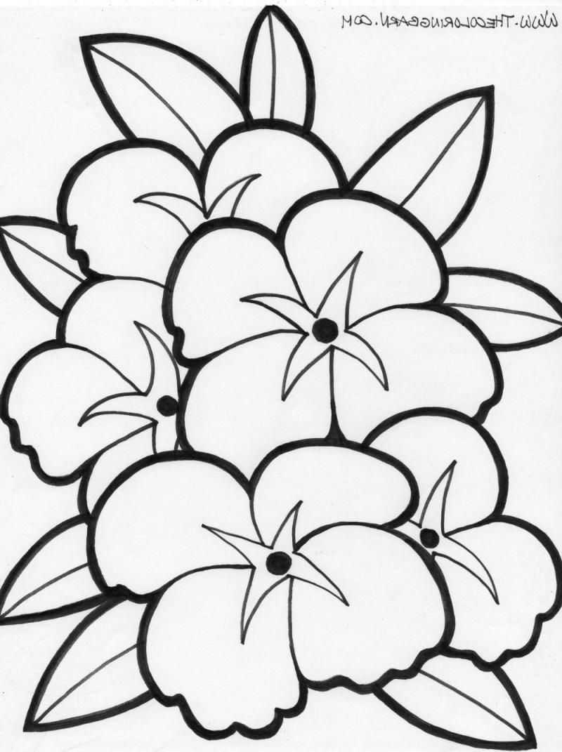Coloring Pages For Seniors Simple Coloring Pages For Elderly At Getdrawings