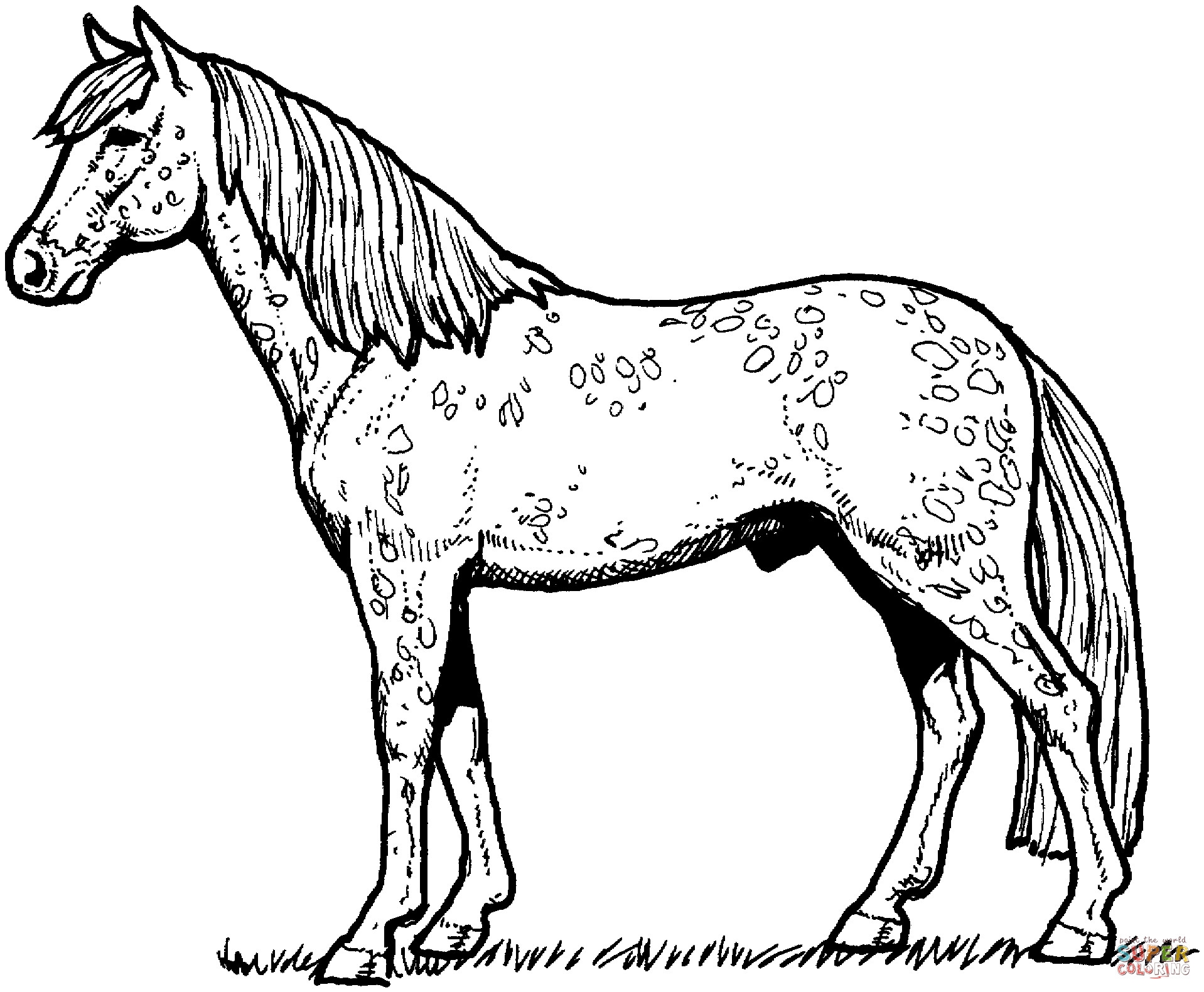 Coloring Pages Of Horses Printable Coloring Pages Of Horses Printable