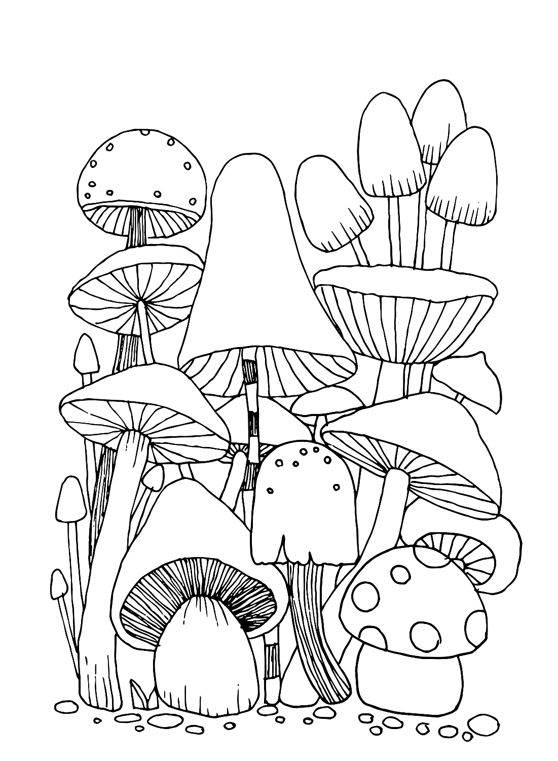 Coloring Pages Of Mushroom Free Printable Coloring Pages Coloring Pages Of Mushroom Free Printable Coloring Pages