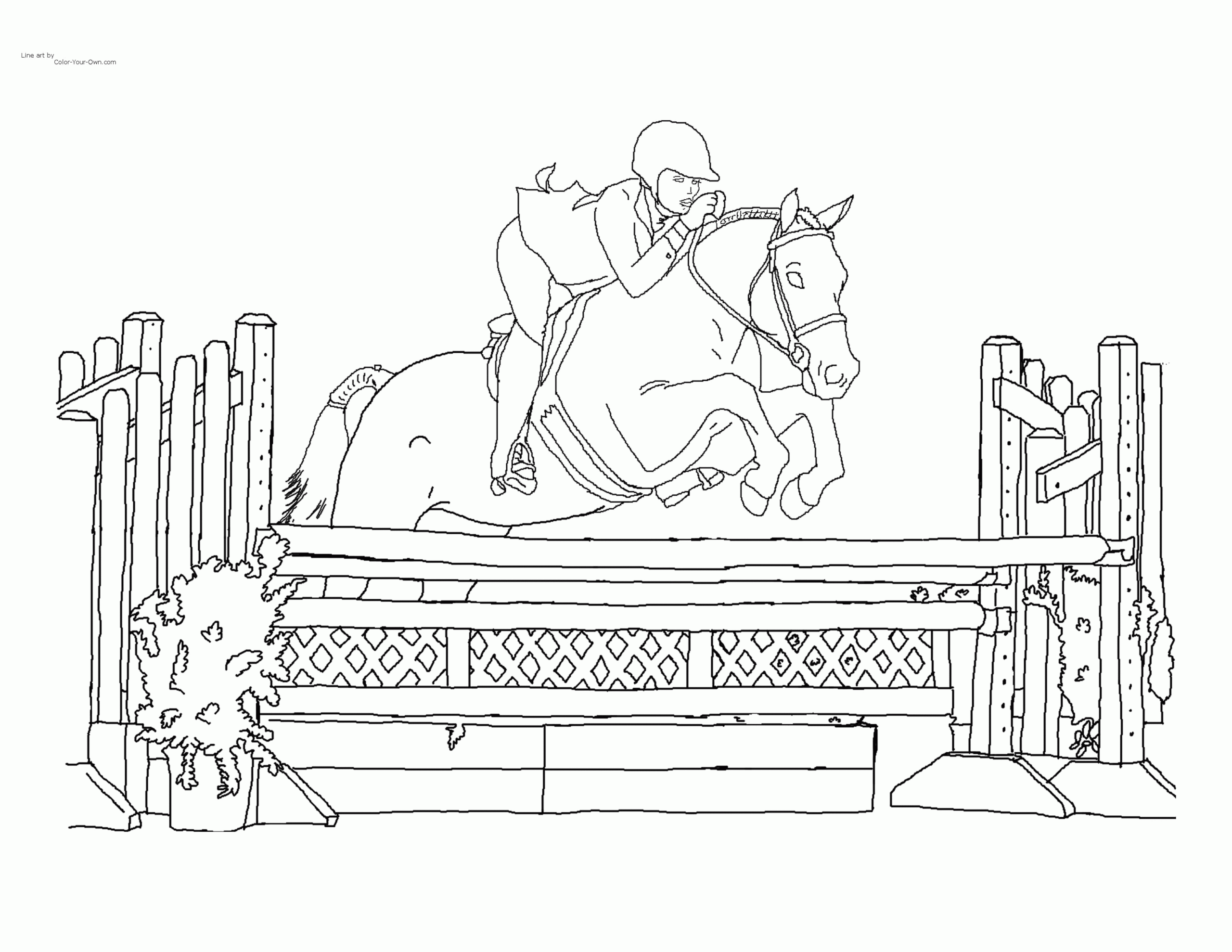Colouring In Horse Pictures
