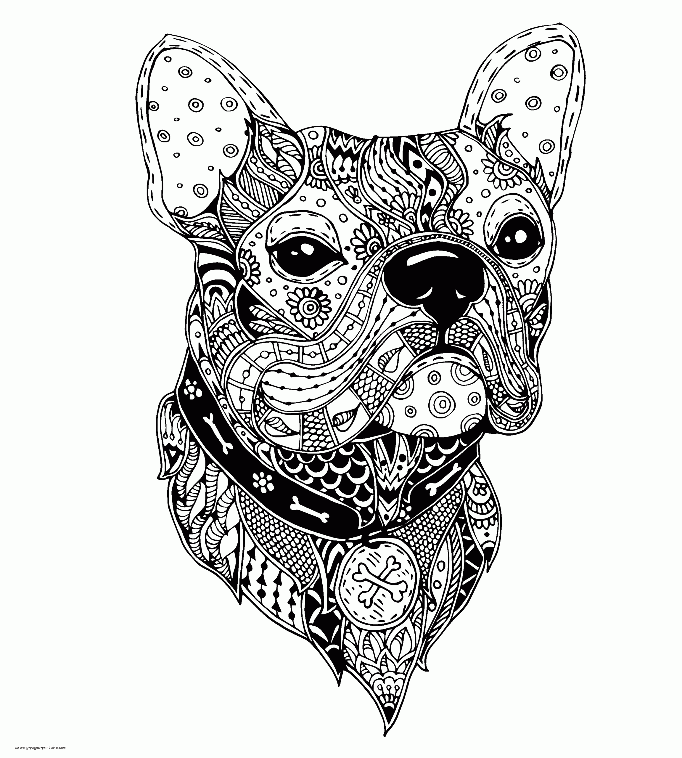 Complex Animal Coloring Pages COLORING PAGES PRINTABLE COM