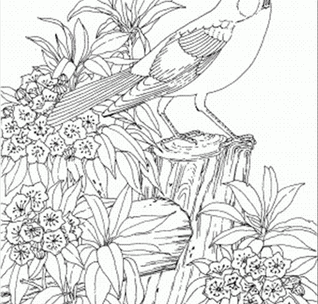 Connecticut Coloring Pages Coloring Home
