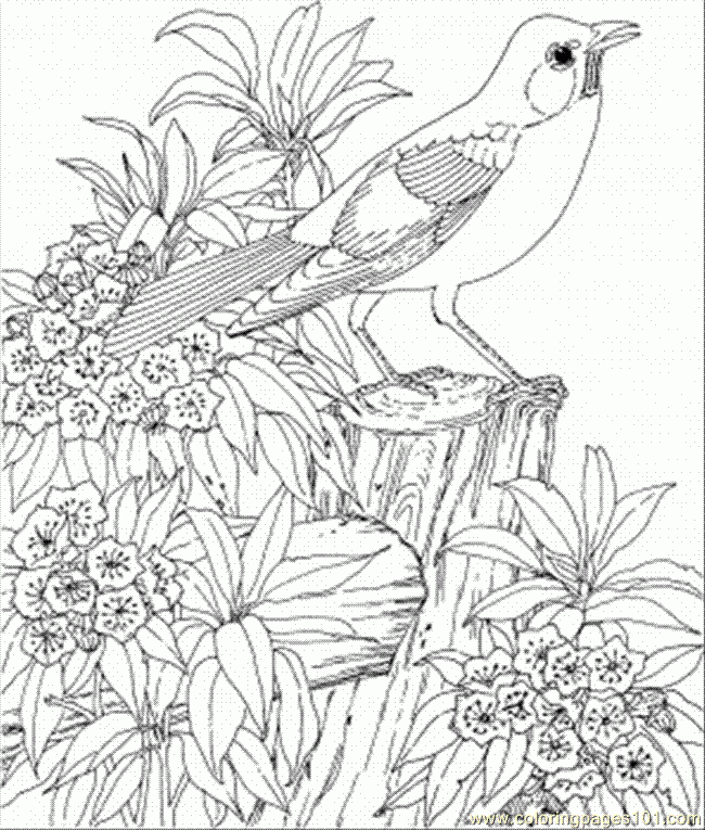 Connecticut Coloring Pages Coloring Home Connecticut Coloring Pages Coloring Home