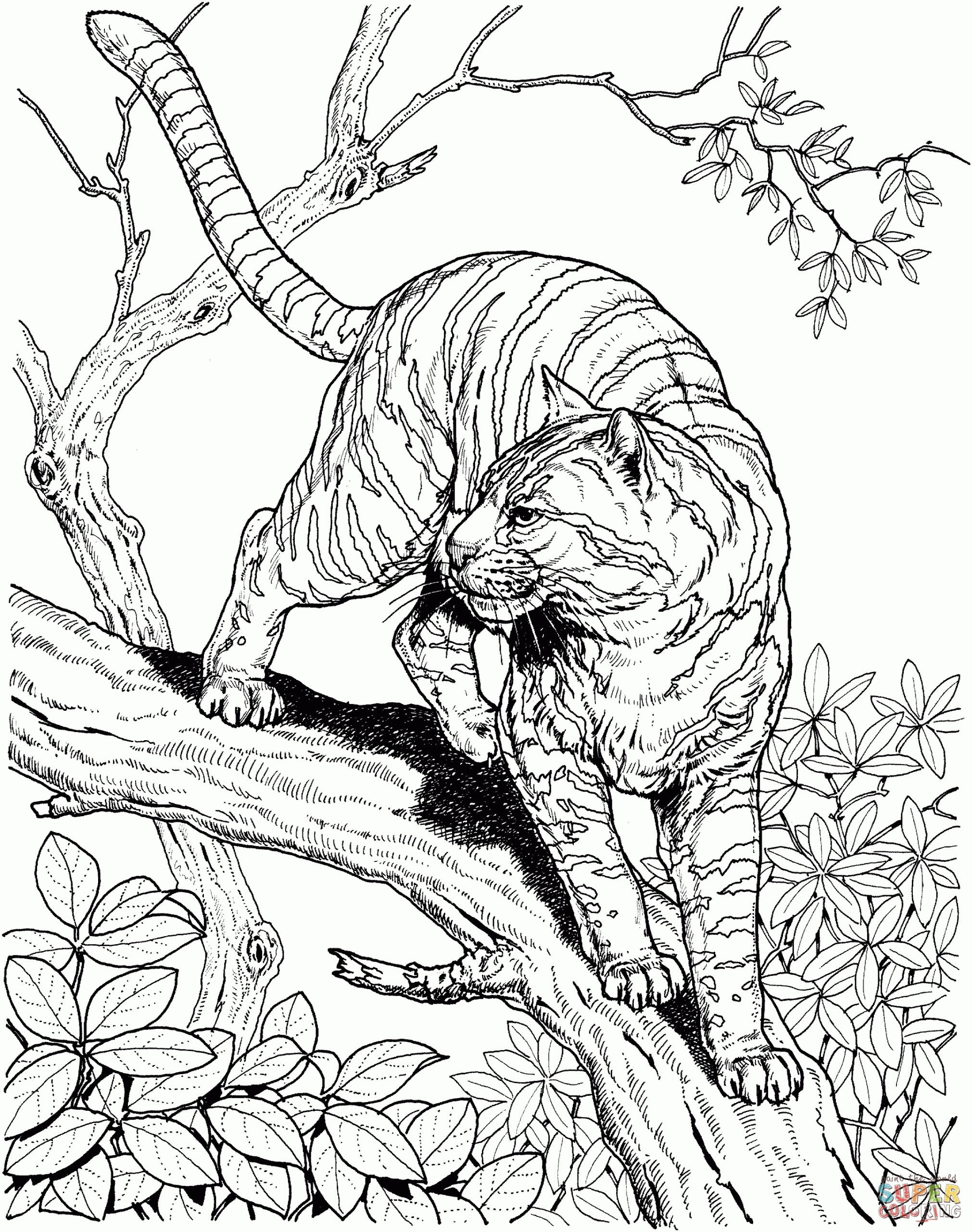 realistic animal coloring pages