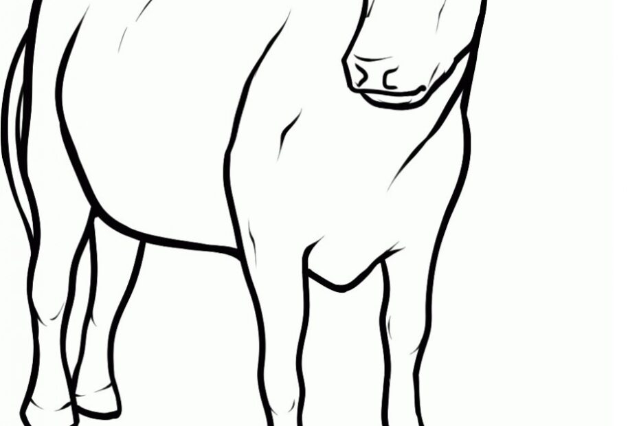 Cow Coloring Page For Kids Image Animal Place