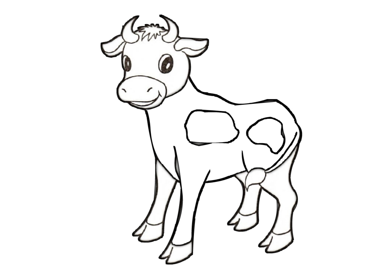 Cow Print Coloring Sheets Cow Print Coloring Sheets