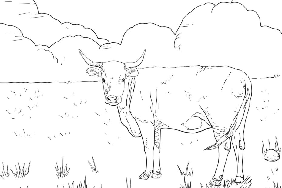 Cow Printable Coloring Pages Coloring Home