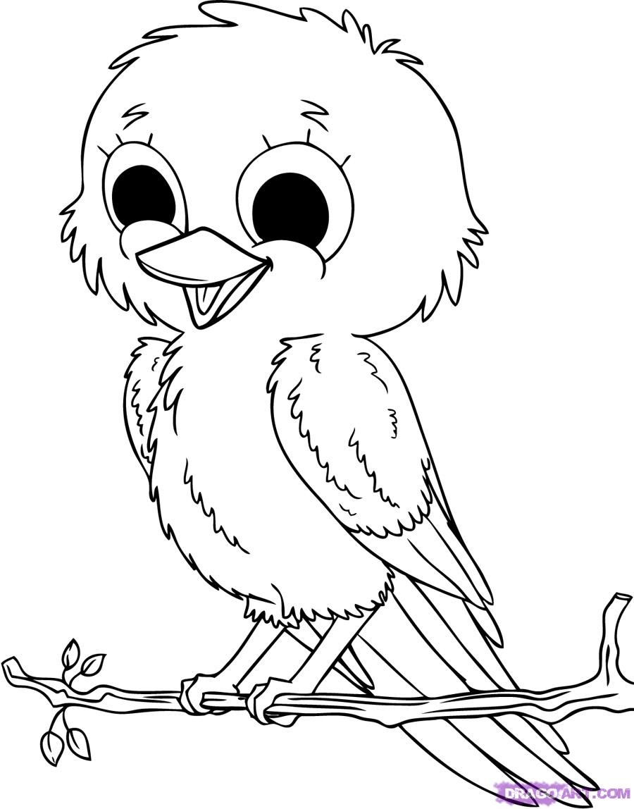 bird colouring pages printable