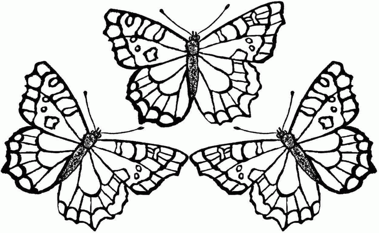 Cute Butterfly Coloring Pages For Adults Coloring Home Cute Butterfly Coloring Pages For Adults Coloring Home