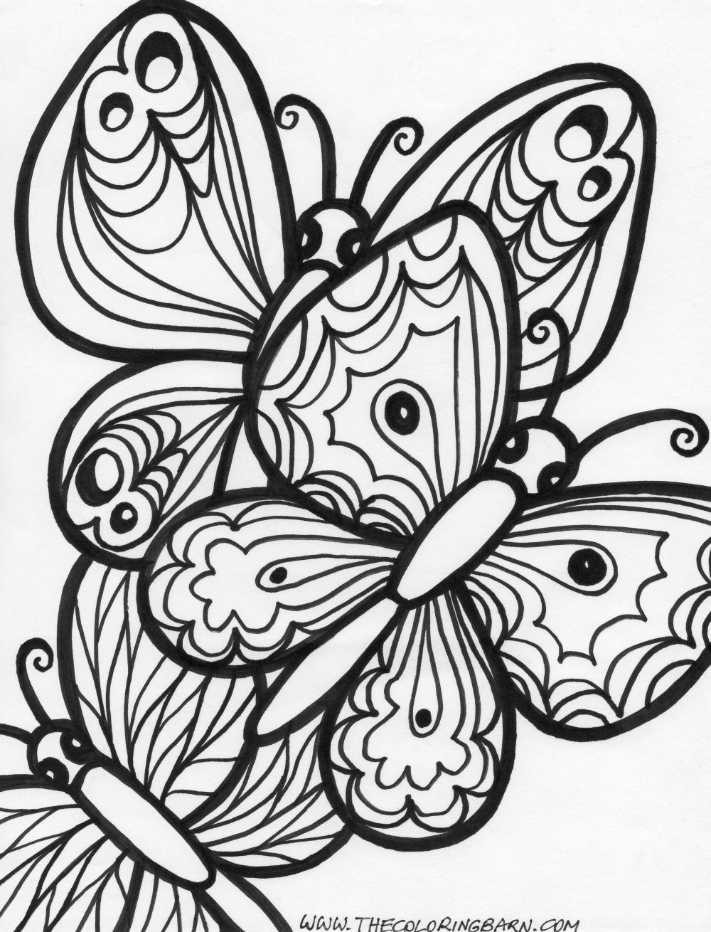 Cute Butterfly Coloring Pages For Adults Coloring Home Cute Butterfly Coloring Pages For Adults Coloring Home