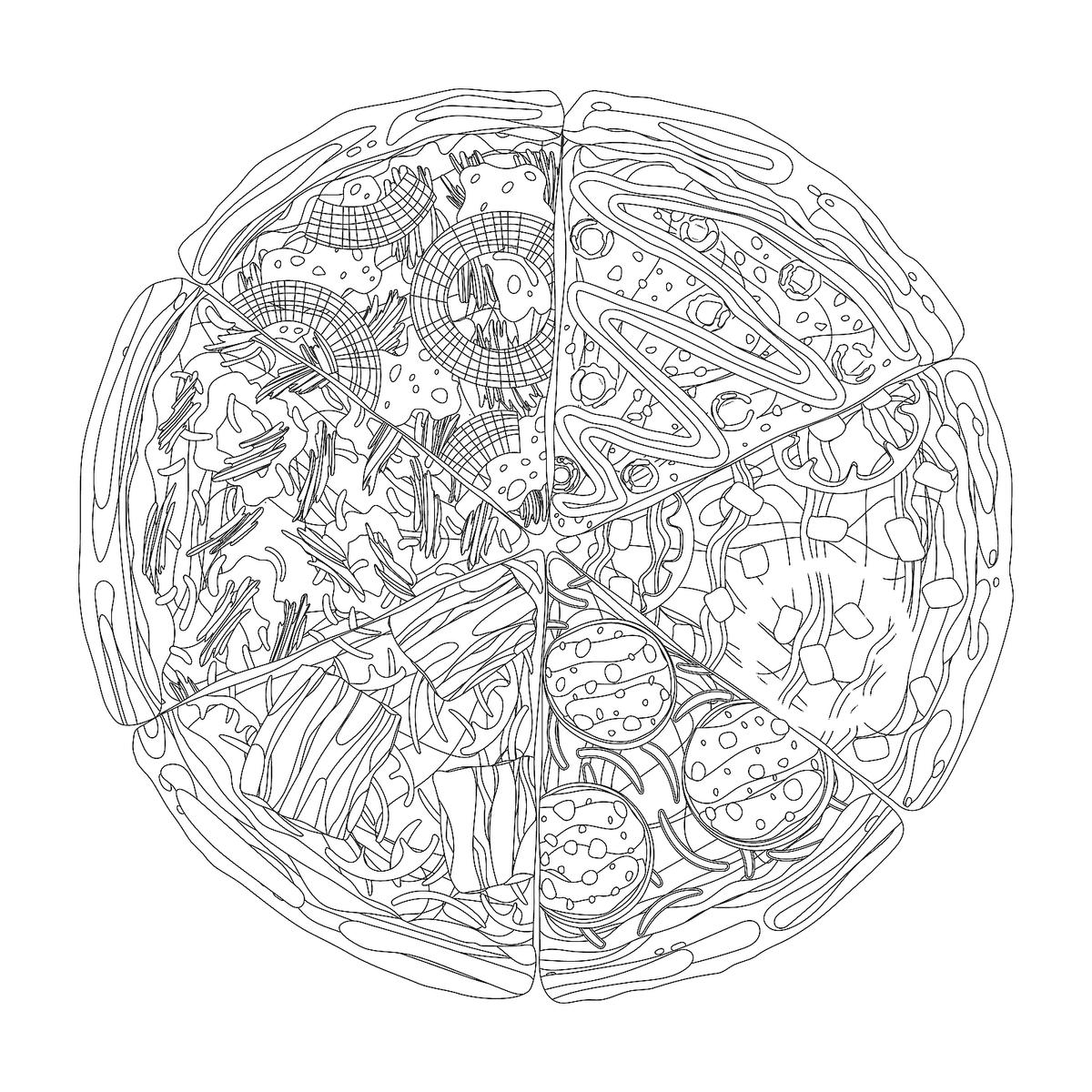 Cute Coloring Pages For Adults Of Food Coloring Kawaii Popcorn 