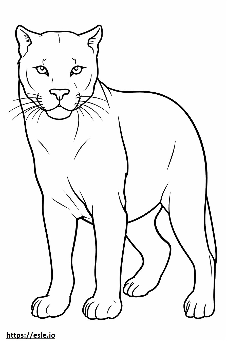 Cute Coloring Sheets Cute Anime Chibi Cat Girls Coloring Page Cute Coloring Sheets Cute Anime Chibi Cat Girls Coloring Page