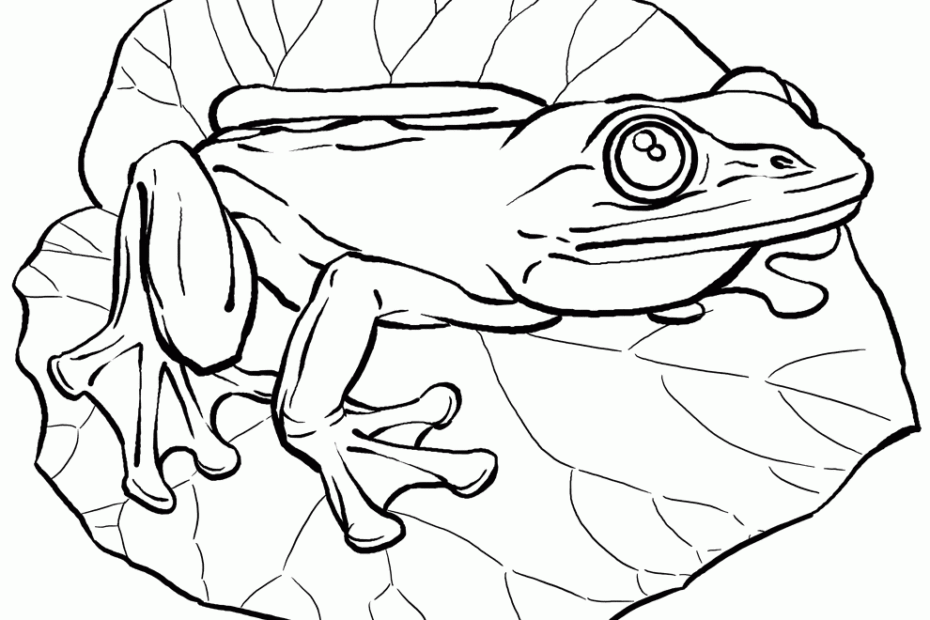 Cute Frog Coloring Pages Coloring Home