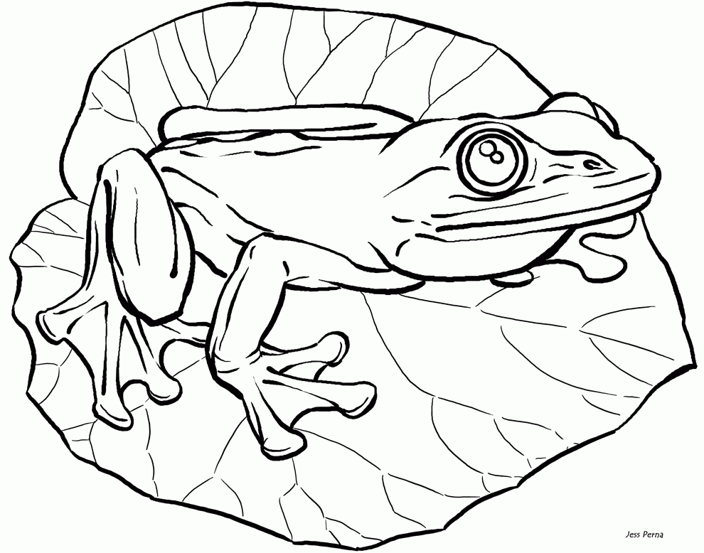 Cute Frog Coloring Pages Coloring Home Cute Frog Coloring Pages Coloring Home