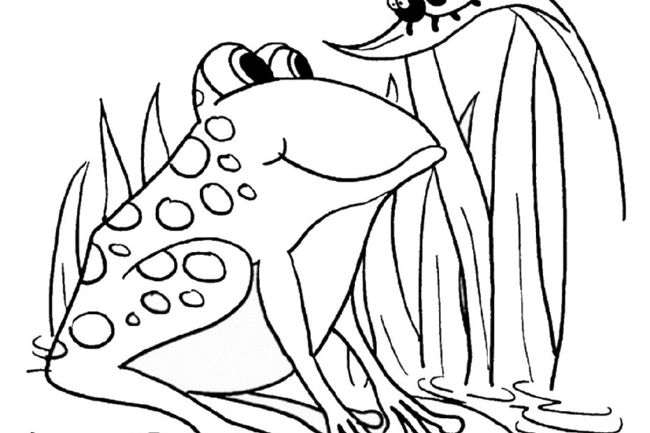 Cute Frog Coloring Sheets 101 Activity