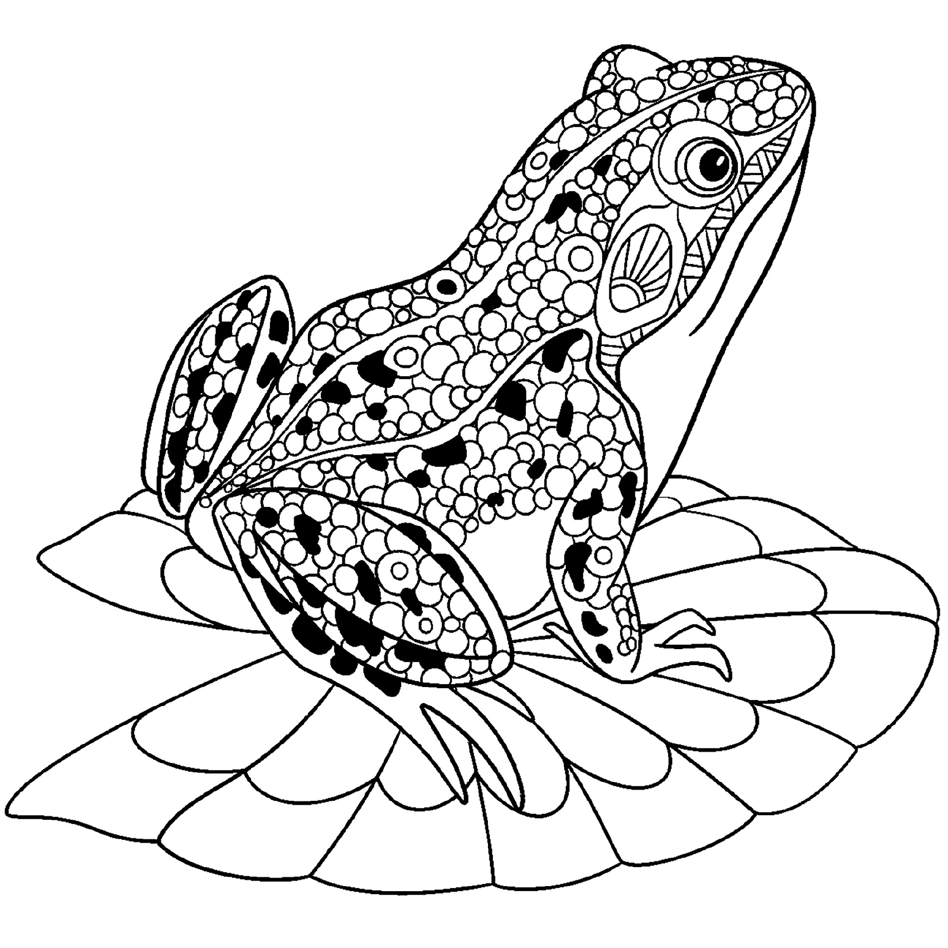 Cute Frog Coloring Sheets 101 Activity Cute Frog Coloring Sheets 101 Activity