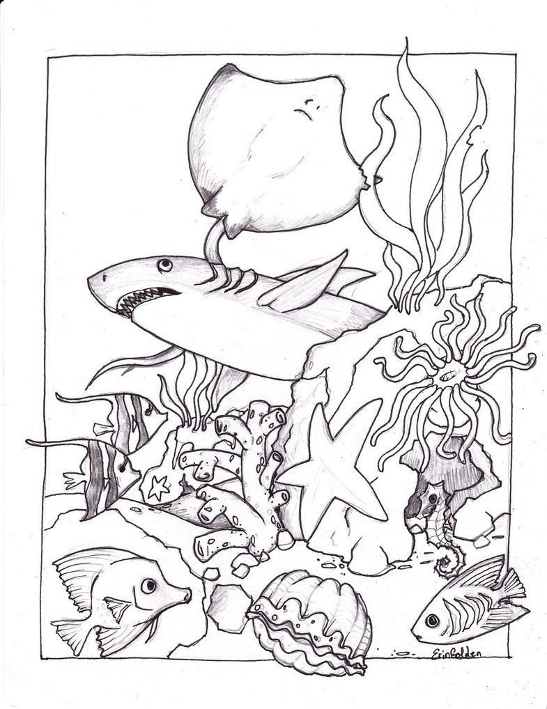 Cute Ocean Animals Coloring Pages Cute Ocean Animals Coloring Pages