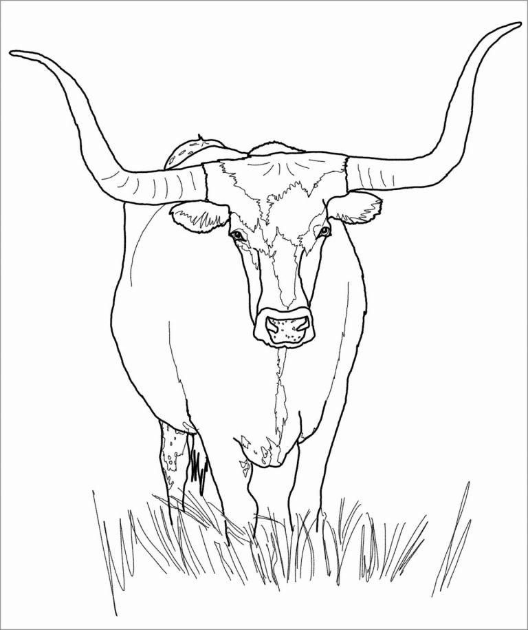 realistic cow coloring pages