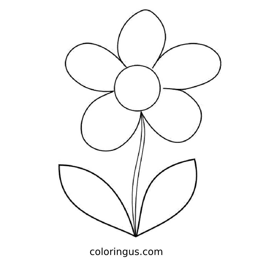 Daisy Flower Coloring Pages Free Printable PDF 