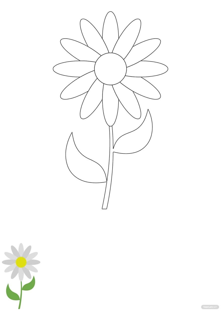 Daisy Flower Colouring Pages Infoupdate Daisy Flower Colouring Pages Infoupdate