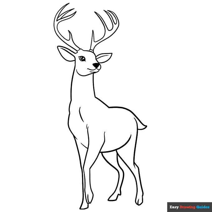 Deer Coloring Page Easy Drawing Guides Deer Coloring Page Easy Drawing Guides