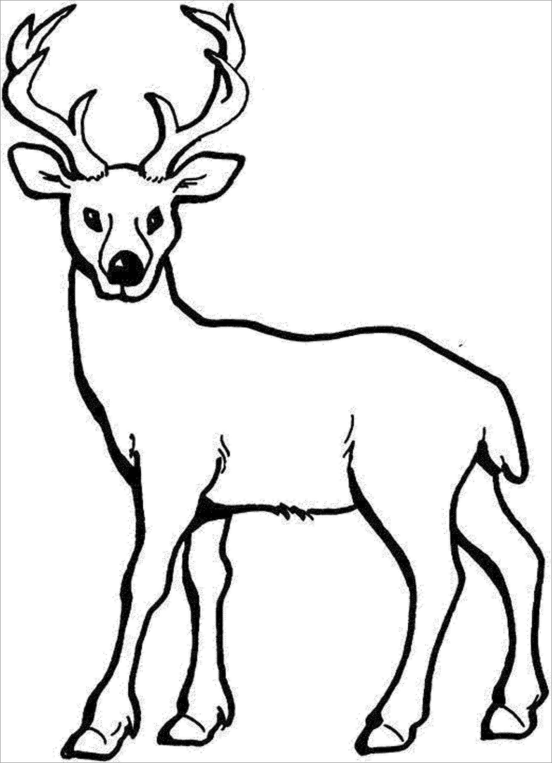 Deer Coloring Pages ColoringBay Deer Coloring Pages ColoringBay